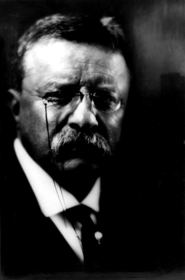 Theodore Roosevelt by Pirie MacDonald cph.3a14470