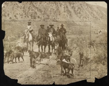 Theodore Roosevelt and other men on horseback with a pack of hunting dogs LCCN2013651383
