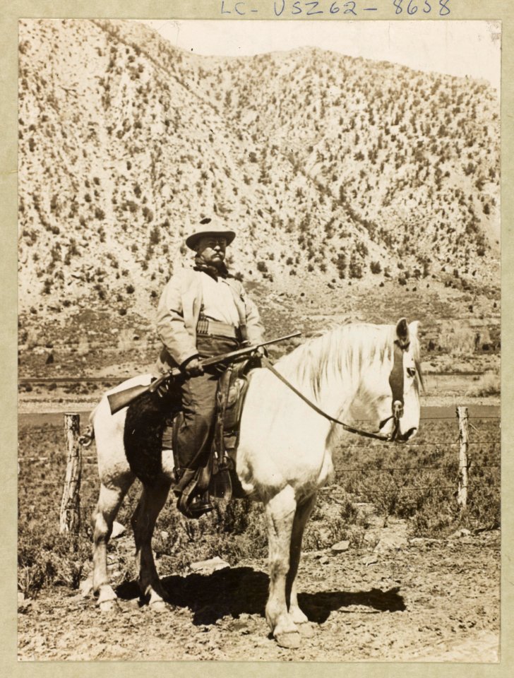 Theodore Roosevelt on horseback carrying rifle LCCN95514636
