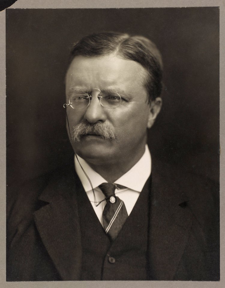Theodore Roosevelt LCCN2010645496