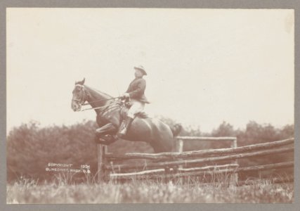 Theodore Roosevelt on horseback jumping over a split rail fence LCCN2013649648 photo