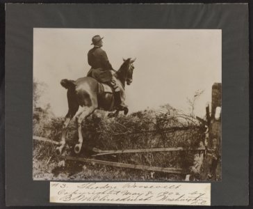 Theodore Roosevelt LCCN2013651339