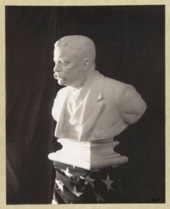 Theodore Roosevelt bust sculpture facing left LCCN2013651055