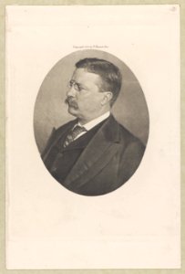 Theodore Roosevelt From a hitherto unpublished photograph. LCCN2009633177