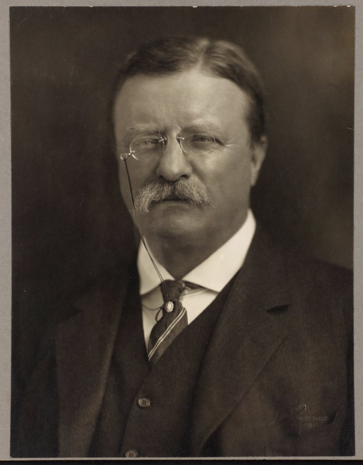 Theodore Roosevelt LCCN2010645499