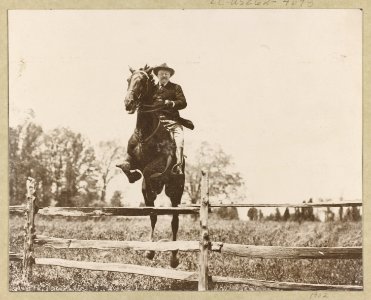 Theodore Roosevelt on horseback jumping over a split rail fence LCCN95514635