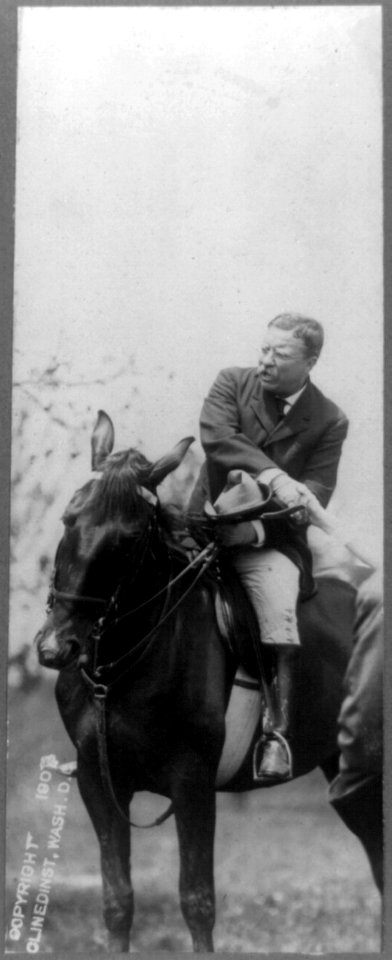 Theodore Roosevelt on horseback LCCN2002722936
