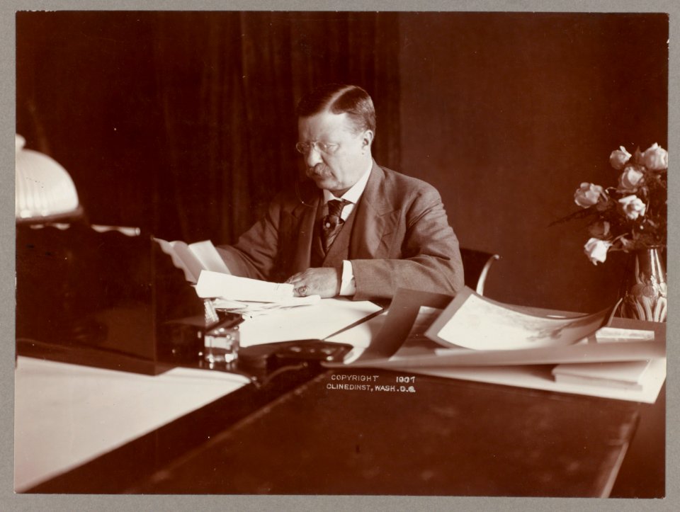Theodore Roosevelt seated at desk, reading, roses in vase at right LCCN2009633129