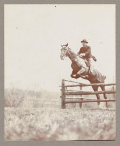 Theodore Roosevelt on horseback jumping over a split rail fence LCCN2013649645 photo