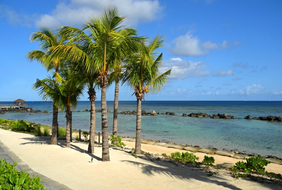 Beach ocean heaven
