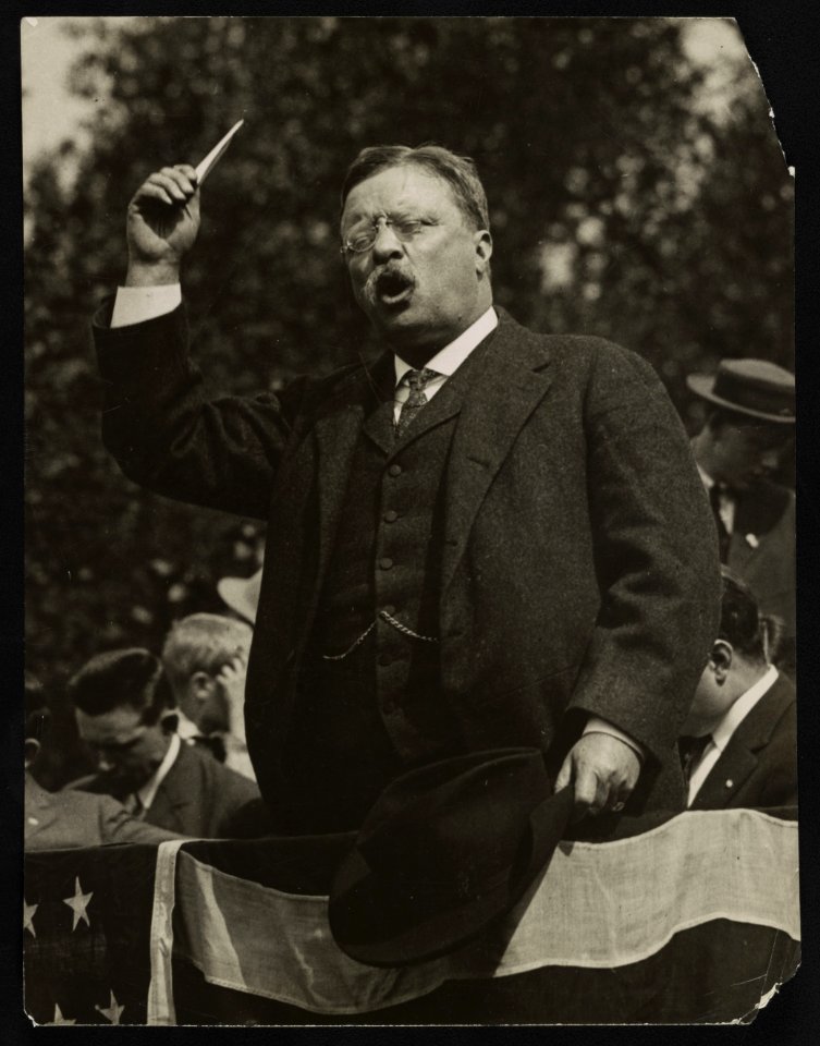 Theodore Roosevelt speaking from flag draped platform LCCN2013650873