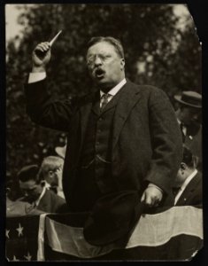 Theodore Roosevelt speaking from flag draped platform LCCN2013650873