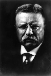 Theodore Roosevelt by Pirie MacDonald cph.3a14467