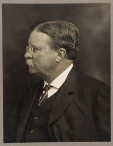 Theodore Roosevelt LCCN2010645514