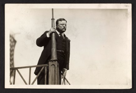 Theodore Roosevelt looking out from a balcony LCCN2013651308