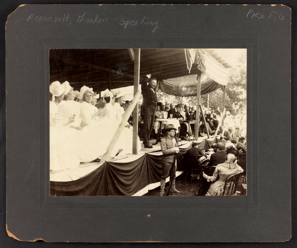 Theodore Roosevelt speaking to seated audience from flag-draped platform LCCN2013650562