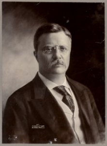 Theodore Roosevelt portrait, facing front LCCN2013649835