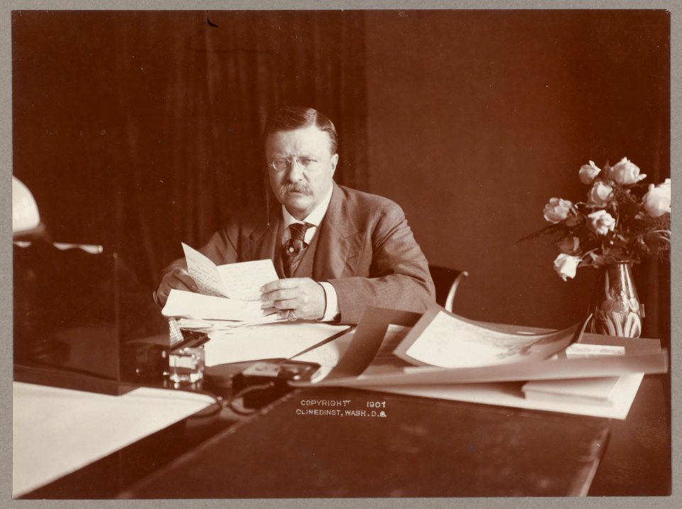 Theodore Roosevelt seated at desk) (graphic) LCCN2009631490