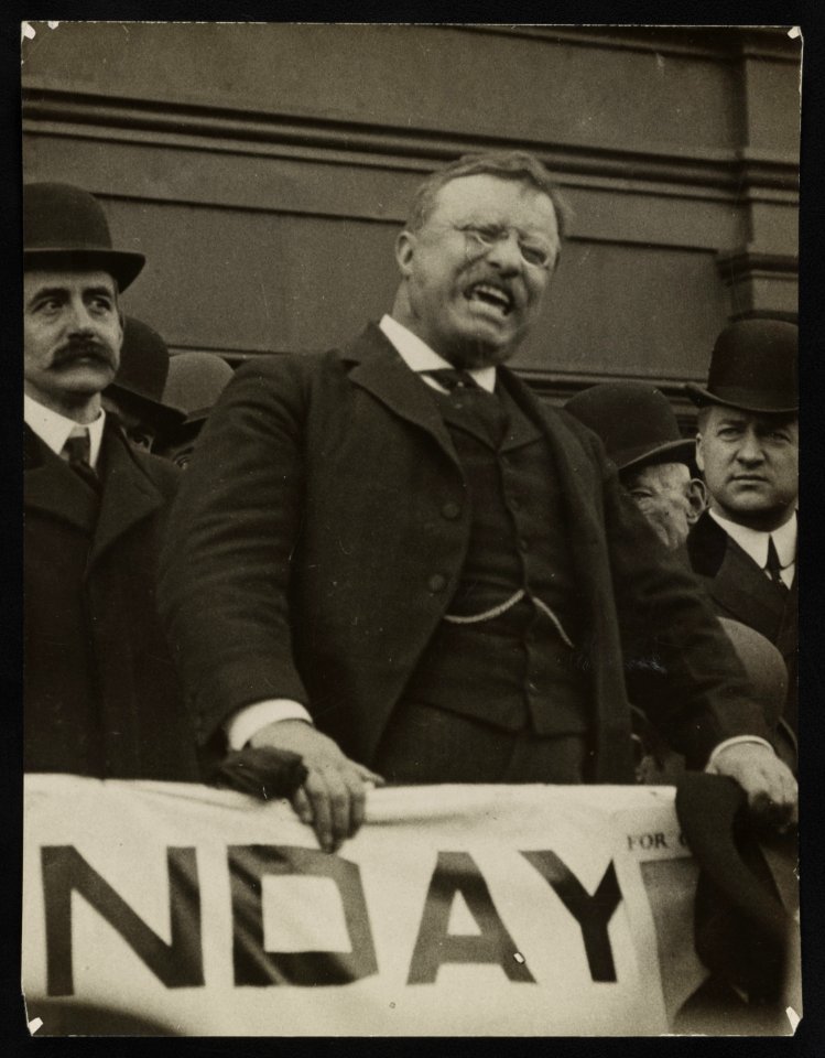 Theodore Roosevelt speaking with intensity from platform LCCN2013650880