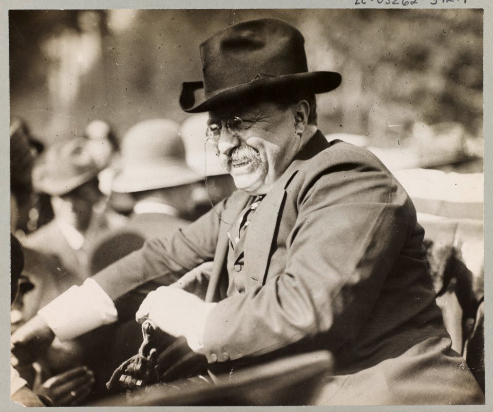 Theodore Roosevelt smiling from an automobile LCCN2009633796