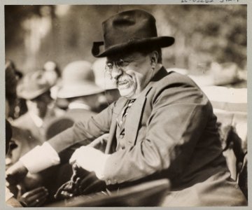 Theodore Roosevelt smiling from an automobile LCCN2009633796