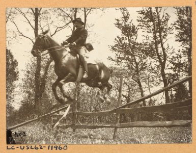 Theodore Roosevelt on horseback jumping over a split rail fence LCCN2010645456