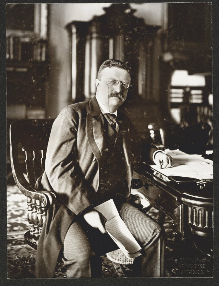 Theodore Roosevelt seated at desk, facing front) - Clinedinst, 1207 F Street, N.W., Washington, D.C LCCN2009631546