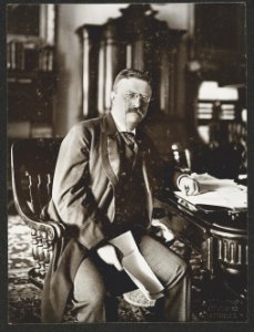 Theodore Roosevelt seated at desk, facing front) - Clinedinst, 1207 F Street, N.W., Washington, D.C LCCN2009631546