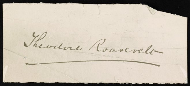Theodore Roosevelt signature LCCN2013651387