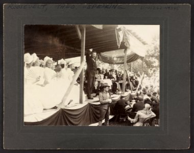 Theodore Roosevelt speaking to seated audience from flag-draped platform LCCN2009633795