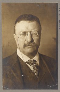 Theodore Roosevelt, bust portrait, facing front LCCN2013648197