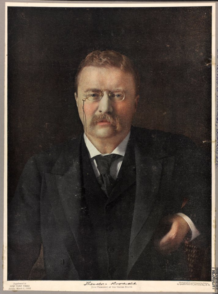 Theodore Roosevelt, 26th President of the United States LCCN2013645476