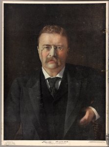 Theodore Roosevelt, 26th President of the United States LCCN2013645476 photo
