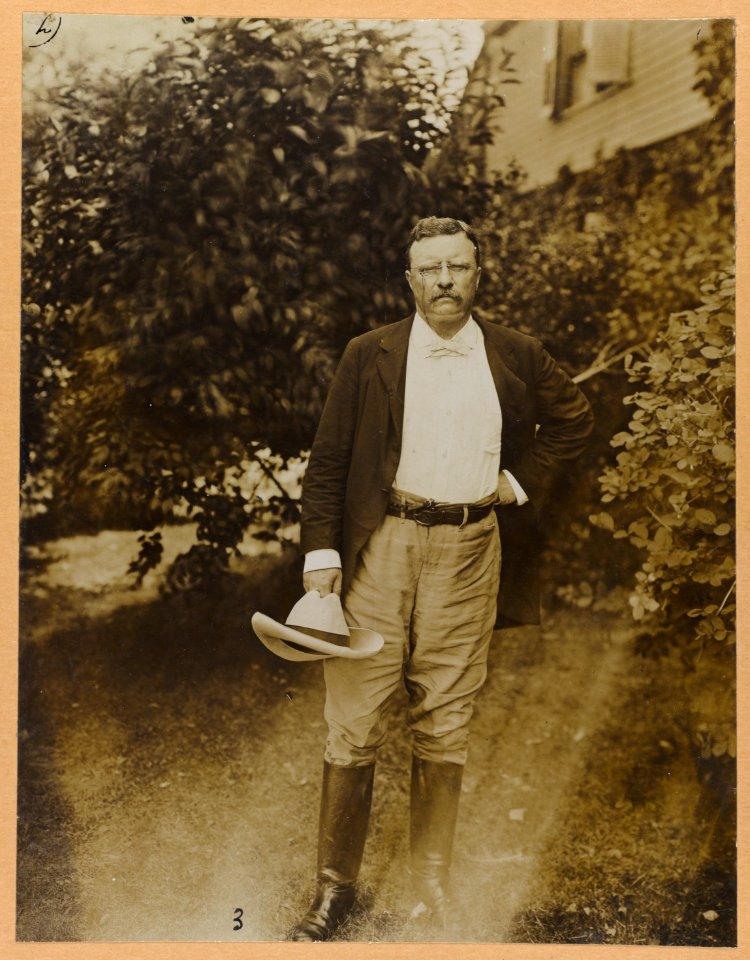 Theodore Roosevelt, full-length portrait, facing front LCCN2009631372