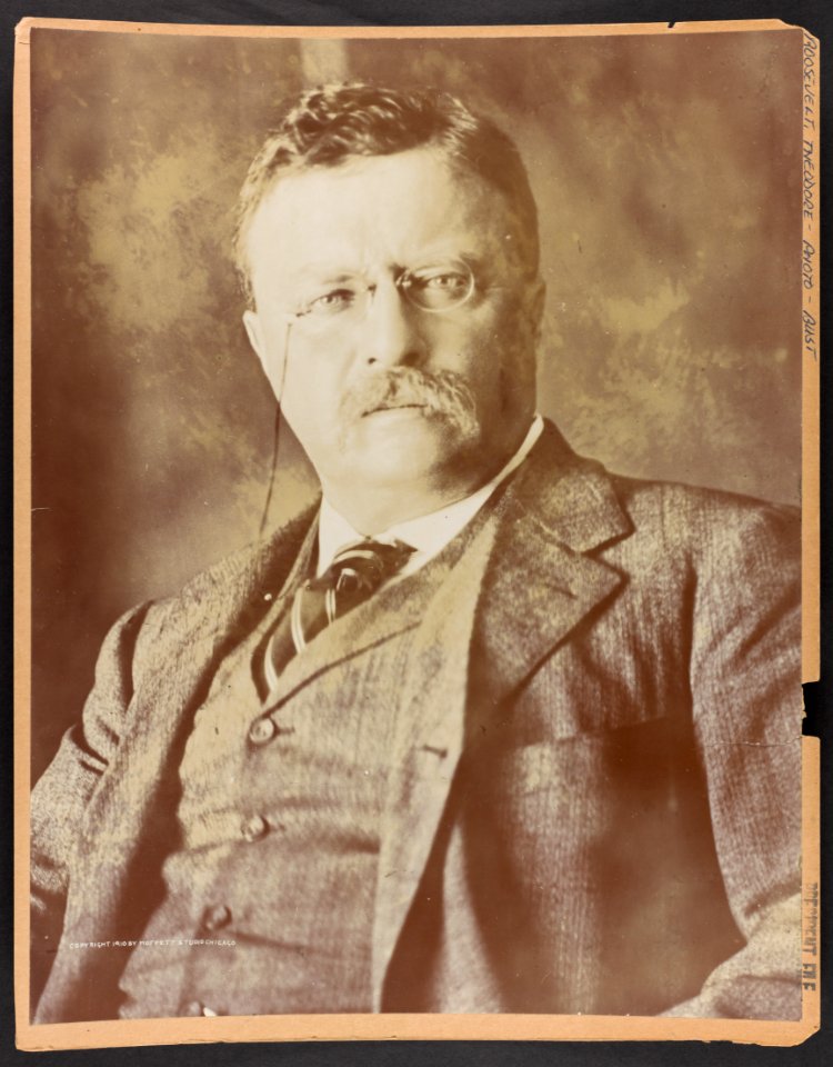 Theodore Roosevelt, bust portrait, facing front LCCN2013649804