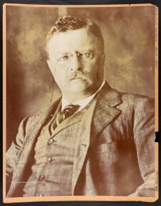 Theodore Roosevelt, bust portrait, facing front LCCN2013649804
