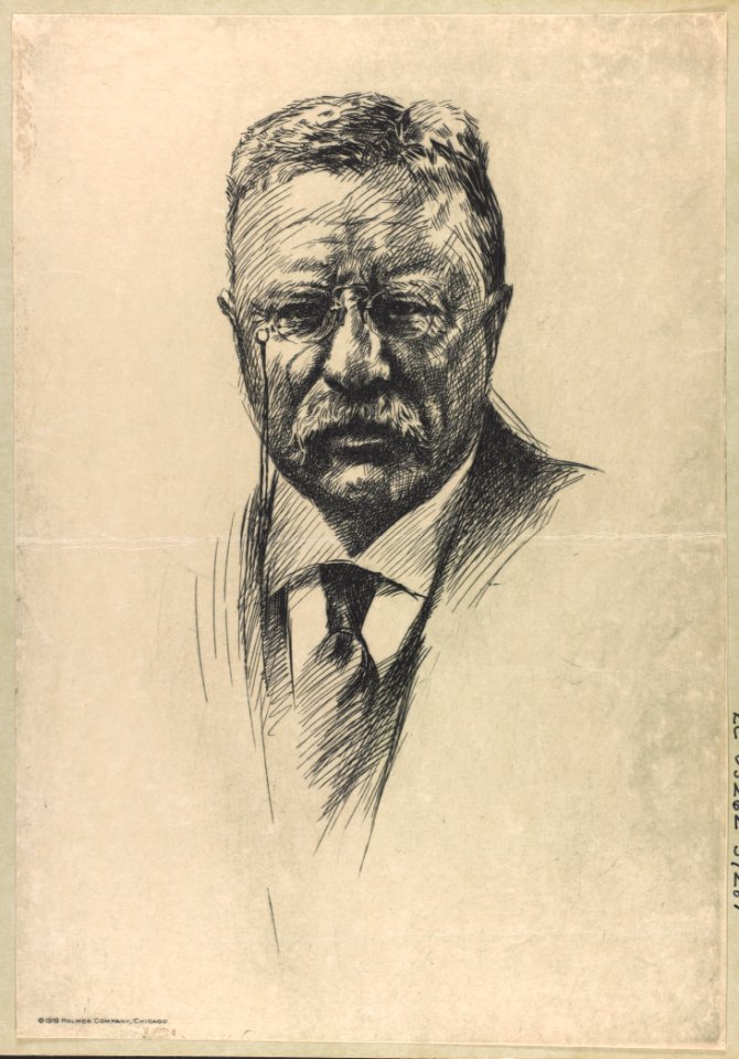 Theodore Roosevelt, bust portrait, facing front LCCN2009633107