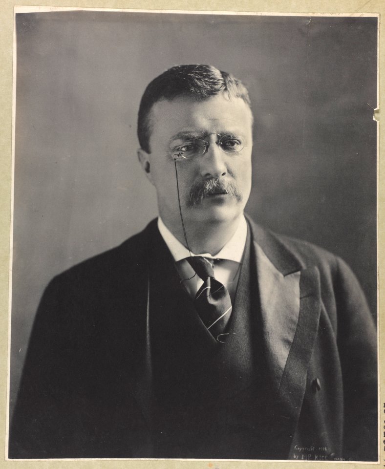 Theodore Roosevelt, bust portrait, facing slightly right LCCN00650952