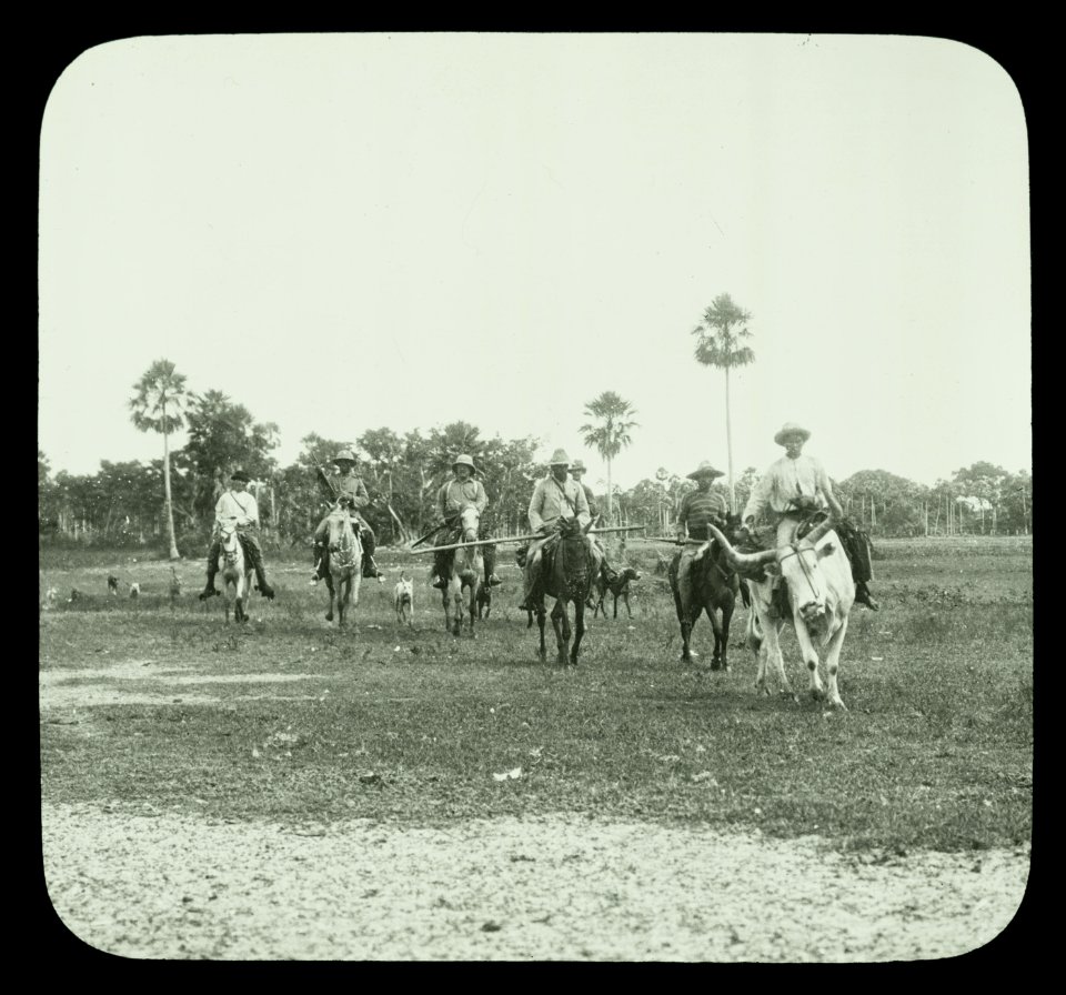 Theodore Roosevelt, 1858-1919; lantern slide of Roosevelt's Brazil expedition, 1913, taken by his son Kermit LCCN2006689853
