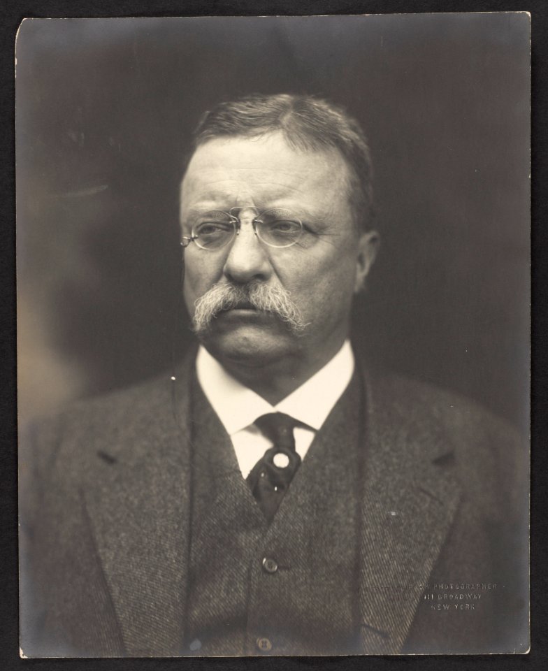 Theodore Roosevelt, bust portrait, facing front) - Pach photographer LCCN2001696037