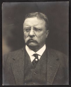 Theodore Roosevelt, bust portrait, facing front) - Pach photographer LCCN2001696037