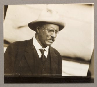 Theodore Roosevelt, Col., on the S.S. Aiden returning from S. America LCCN2013649458