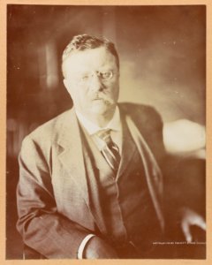 Theodore Roosevelt, bust portrait, seated, facing front LCCN2013649806