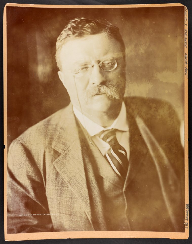 Theodore Roosevelt, bust portrait, facing front LCCN2013649805