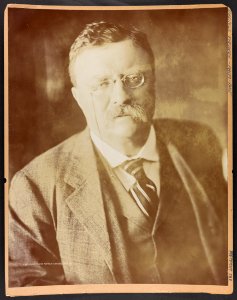 Theodore Roosevelt, bust portrait, facing front LCCN2013649805