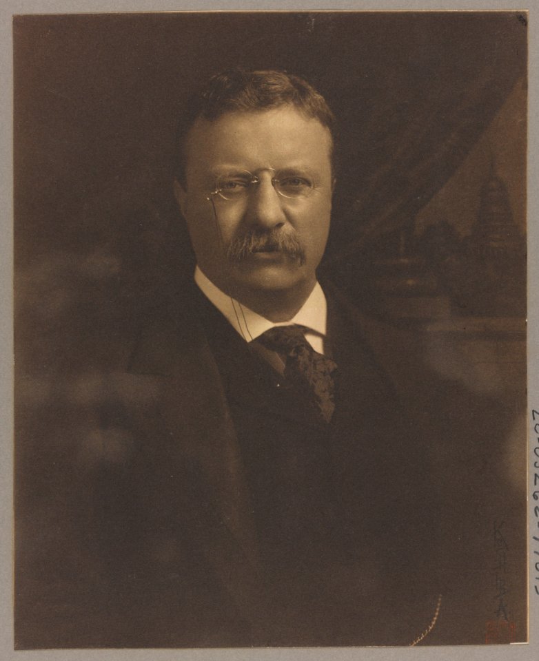 Theodore Roosevelt, half-length portrait, facing front LCCN92520946