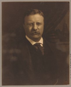 Theodore Roosevelt, half-length portrait, facing front LCCN92520946