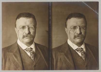 Theodore Roosevelt, bust portrait, seated, facing front LCCN2013648193