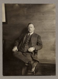 Theodore Roosevelt, full-length portrait, seated in chair LCCN2013651183