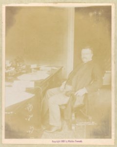 Theodore Roosevelt, full-length portrait, facing front, seated at his desk LCCN2013649623